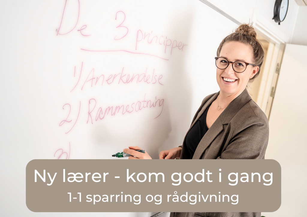 billedenylærer